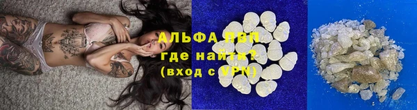 хмурый Нефтекумск