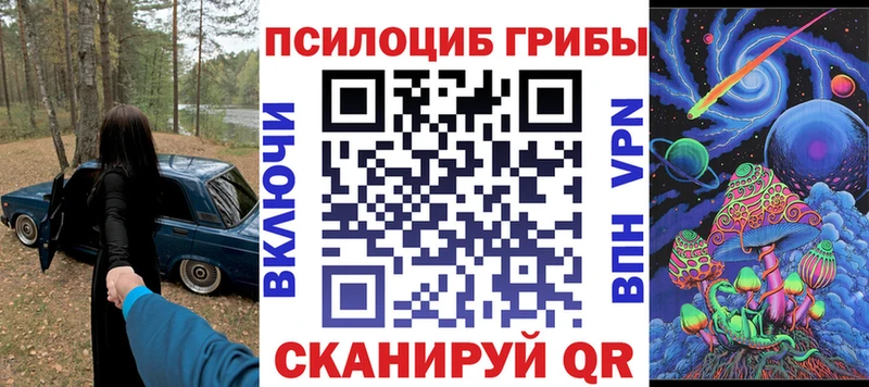 купить сайты Новоржев Псилоцибиновые грибы Magic Shrooms